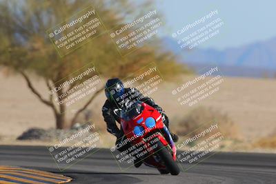 media/Feb-04-2023-SoCal Trackdays (Sat) [[8a776bf2c3]]/Turn 4 (Tree of Life 2pm)/